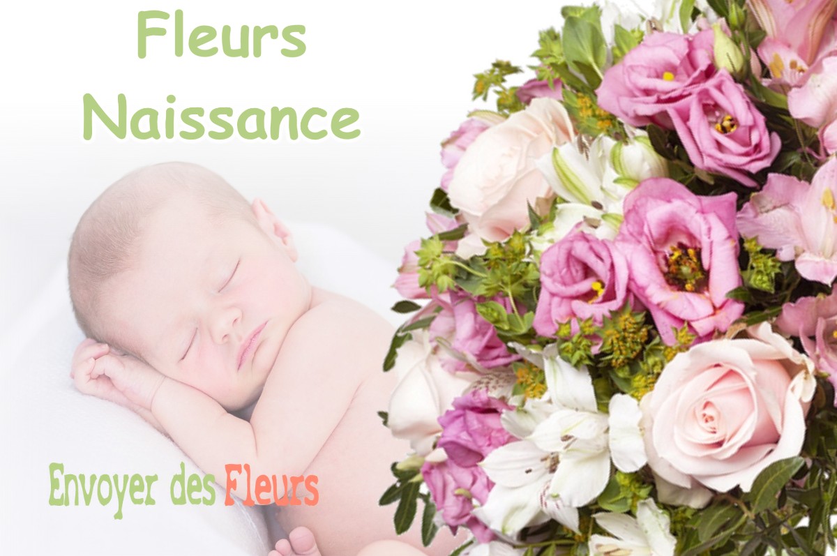 lIVRAISON FLEURS NAISSANCE à CHATTE